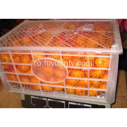 Juicy fructe dulci gust mandarin copil